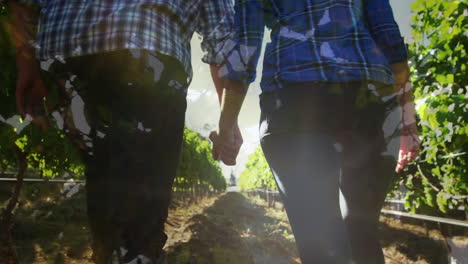 video compuesto de un primer plano de hojas contra la sección baja de una pareja de manos caminando en el jardín