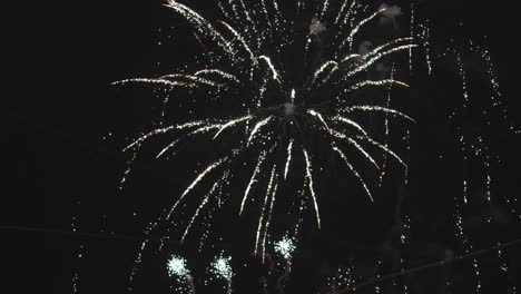 deslumbrantes estallidos de colores iluminan el cielo nocturno en una fascinante exhibición de fuegos artificiales