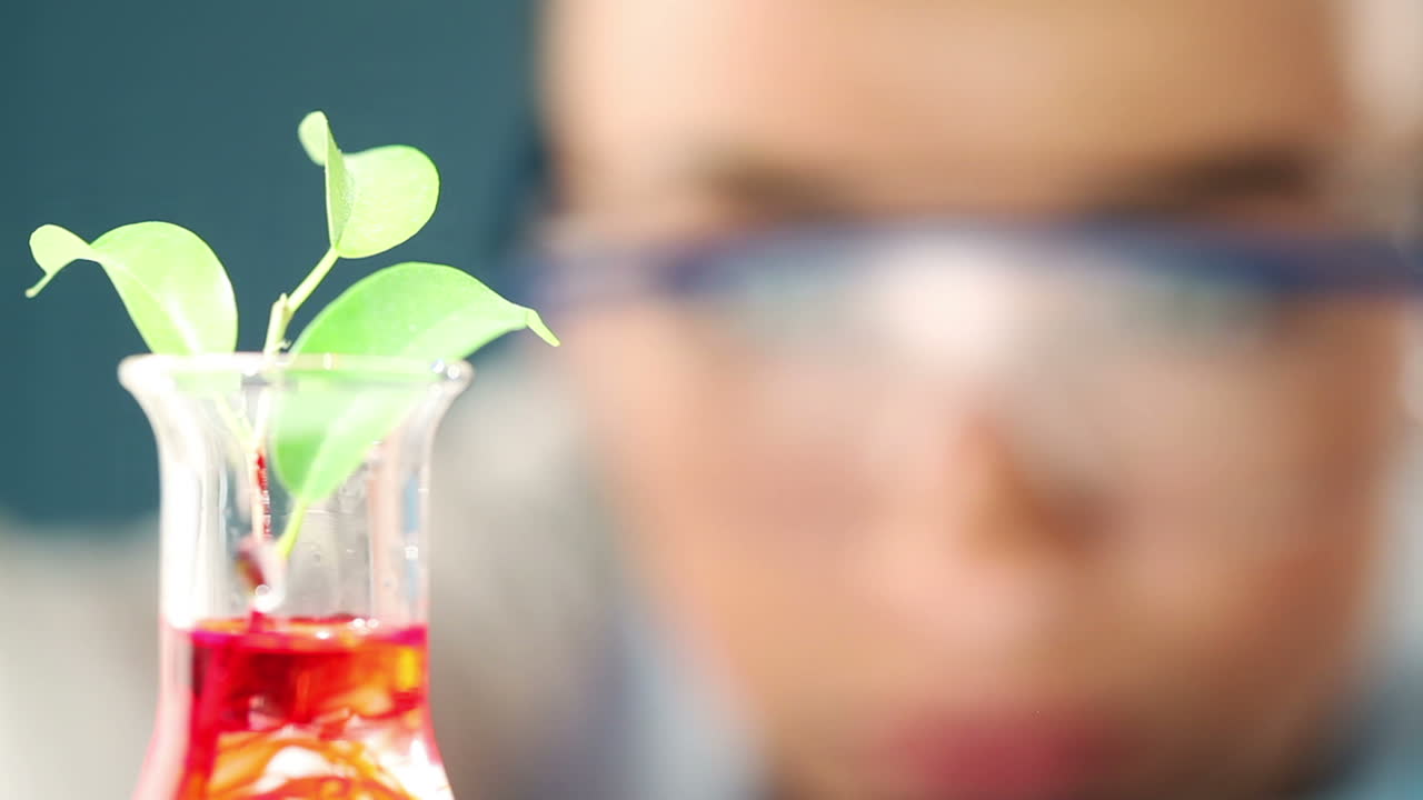 ciencia mujer linda haciendo investigación médica