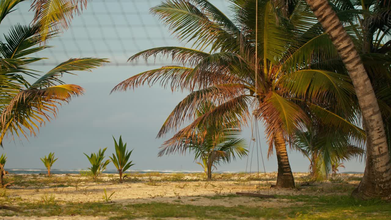 листья пальмы мягко качаются на ветру в сан-бласе, а мягкий свет золотого часа создает спокойную тропическую атмосферу.