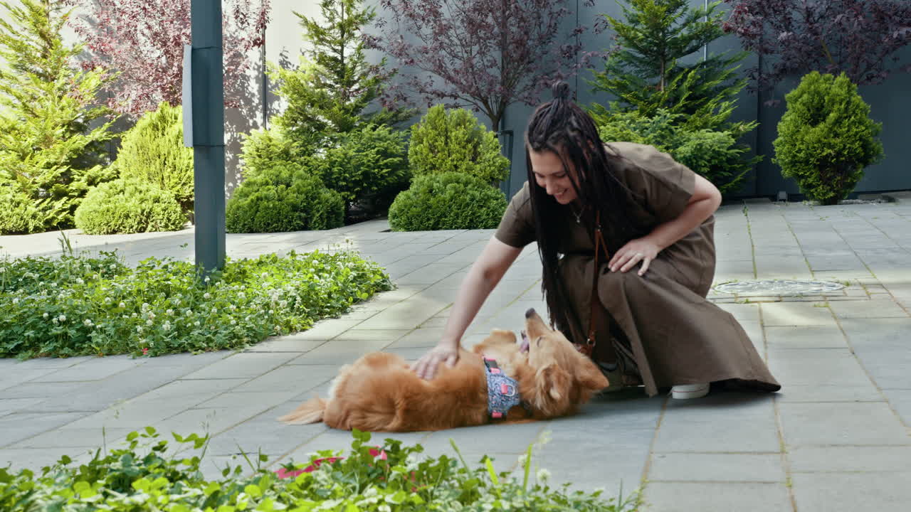 골든 리트리버 와 함께 놀고 있는 여자