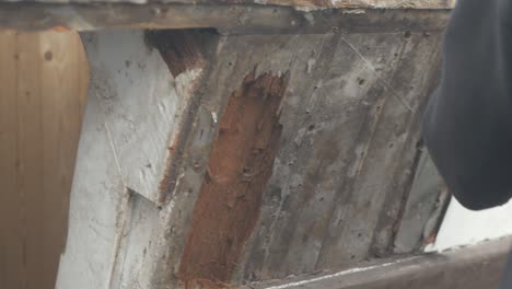 rotten section of mahogany timber planking on wooden boat