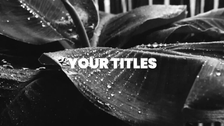Rhythm Loop Titles 02 Rhythm Loop Titles Adobe After Effects 2023 Resolution 3840×2160