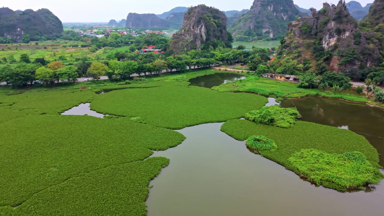 Cảnh quay drone điện ảnh về một phong cảnh ao hồ tươi tốt ở Ninh Bình với cây thủy sinh và những khối núi đá vôi karst hùng vĩ nổi lên ở hậu cảnh.