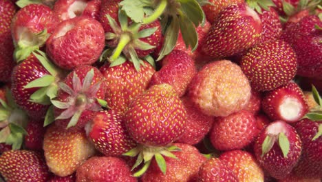 strawberry background. food background. freshly picked strawberries.
