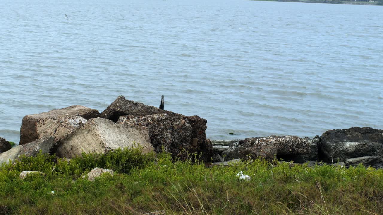 piedras en terrenos herbosos frente al agua