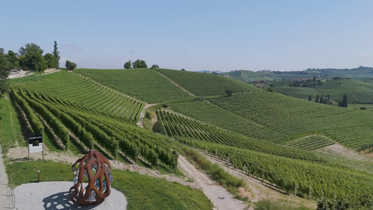 Giant walnut Grinzane Cavour, UNESCO site, Cuneo, Piedmont, Italy. 4k aerial view giant walnut and the Vineyard. Langhe-Roero and Monferrato. Flying above the vineyards.