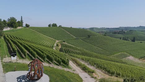 Giant walnut Grinzane Cavour, UNESCO site, Cuneo, Piedmont, Italy. 4k aerial view giant walnut and the Vineyard. Langhe-Roero and Monferrato. Flying above the vineyards.