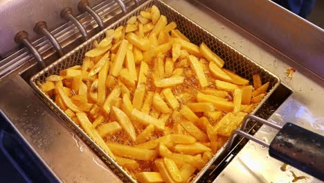 french fries cooking in a deep fryer