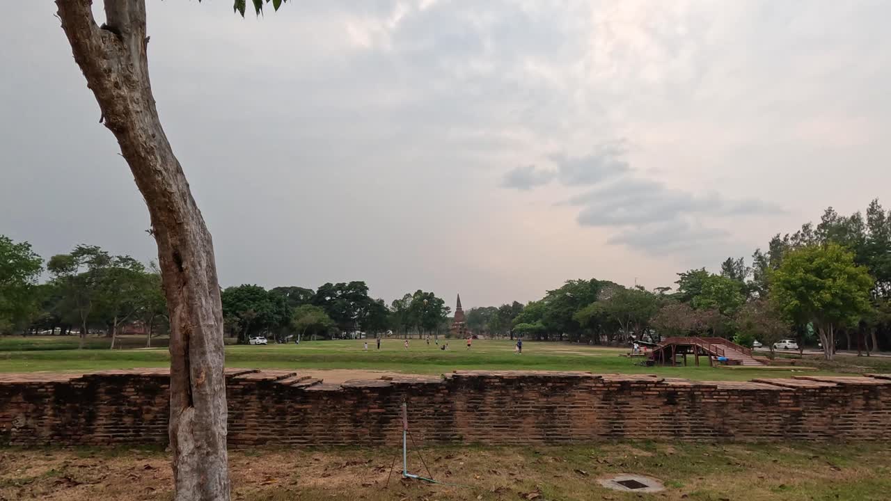 Vista stabile di un paesaggio del parco attraverso un varco tra gli alberi
