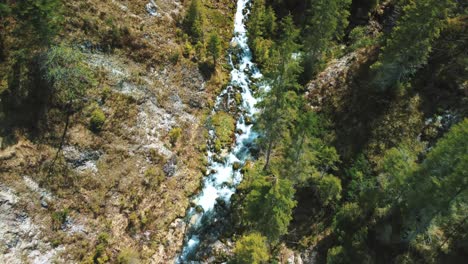 aerial flight above a vivid and idyllic mountain river waterfall canyon with fresh blue water in the bavarian austrian alps, flowing down a beautiful riverbed along trees, forest and rocks from above