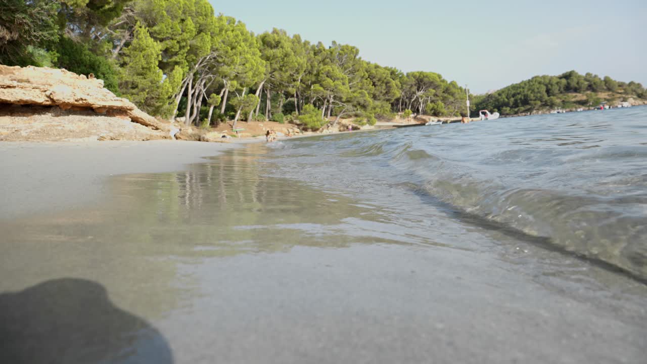playa de arena con pequeñas olas y gente en la procedencia de platja de formentor isla de mallorca palmeras