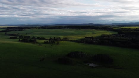 Field-green-grass-pasture-mountains-in-the-evening-tilt