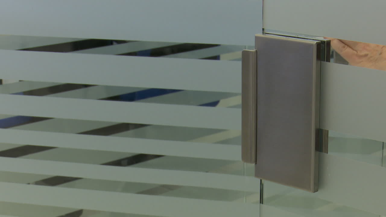 Modern Glass Door with Metal Handle