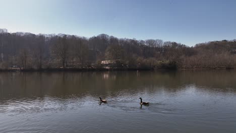 chattahoochee river in roswell georgia