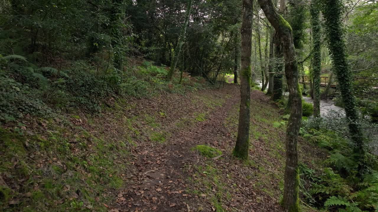 Path Through The Forest Along The River In Gabenlle, Spain. - slow aerial shot