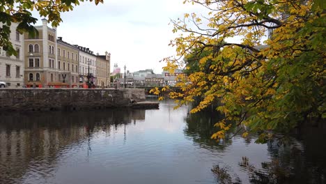 autumn canal scene with branches hanging over the water, gothenburg, sweden