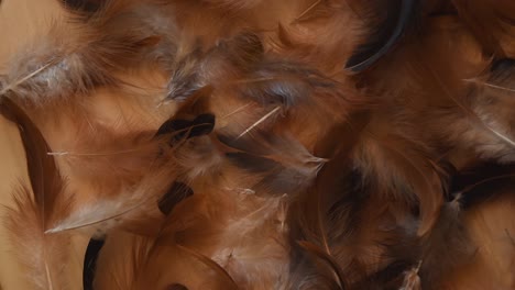 Top-view-of-a-minimal-background-with-soft-and-fluffy-white,-brown-and-black-feathers-blowed-away,-near-some-stones,-on-a-light-wooden-background