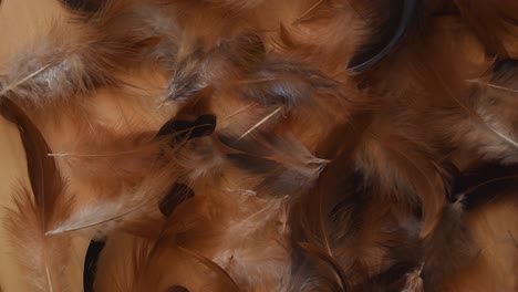 top view of a minimal background with soft and fluffy white, brown and black feathers blowed away, near some stones, on a light wooden background