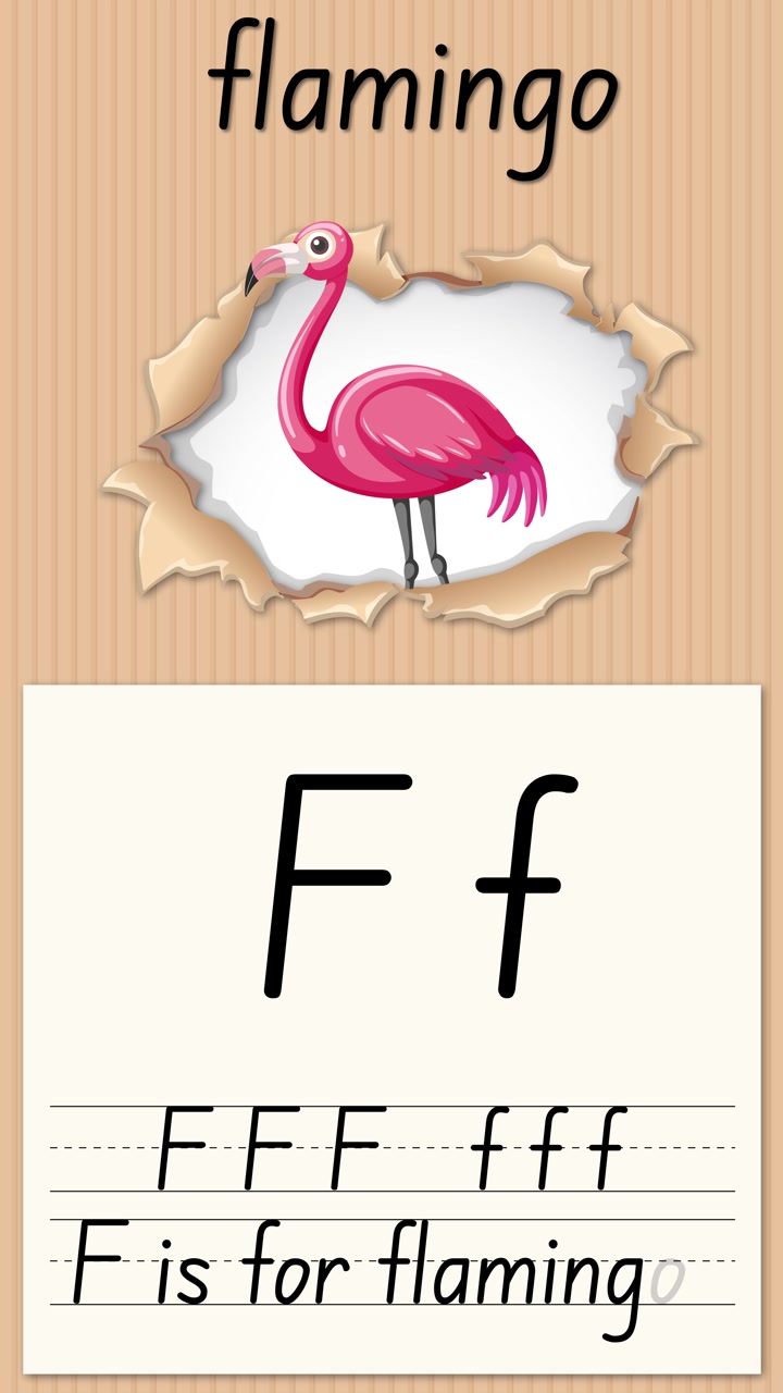 Video educativo animato dimostra come scrivere la lettera F usando un'illustrazione di fenicottero e righe per la calligrafia