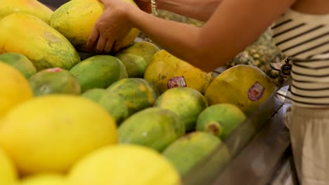 a person examines and selects papayas in a well-lit supermarket in gold coast, australia, highlighting fresh produce and careful selection