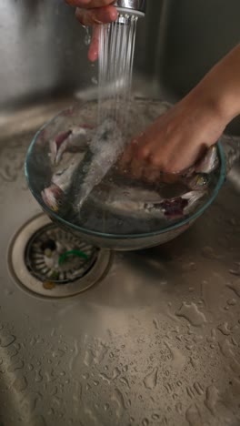 washing fish in the kitchen sink