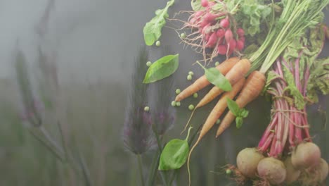 Animation-of-table-of-vegetable-over-grass