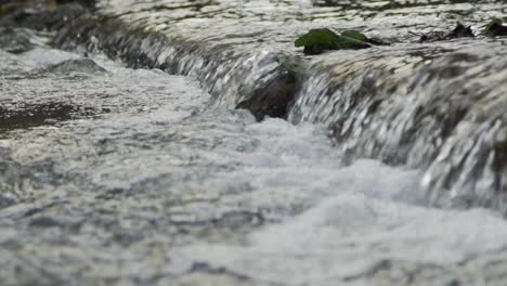 Stream-Cascading-Over-a-Step-Creating-a-Small-Waterfall-at-Cullen-Gardens-Central-Park,-Whitby,-Canada