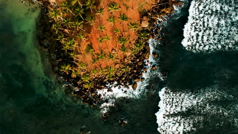 Aerial-of-Coconut-Tree-Hill,-isolated-palm-trees