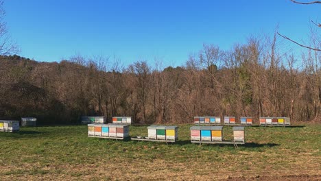 Colorful-wooden-bee-houses-or-beehives-in-natural-landscape