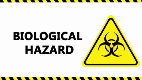 biological hazard logo and text flashing on white background motion graphics