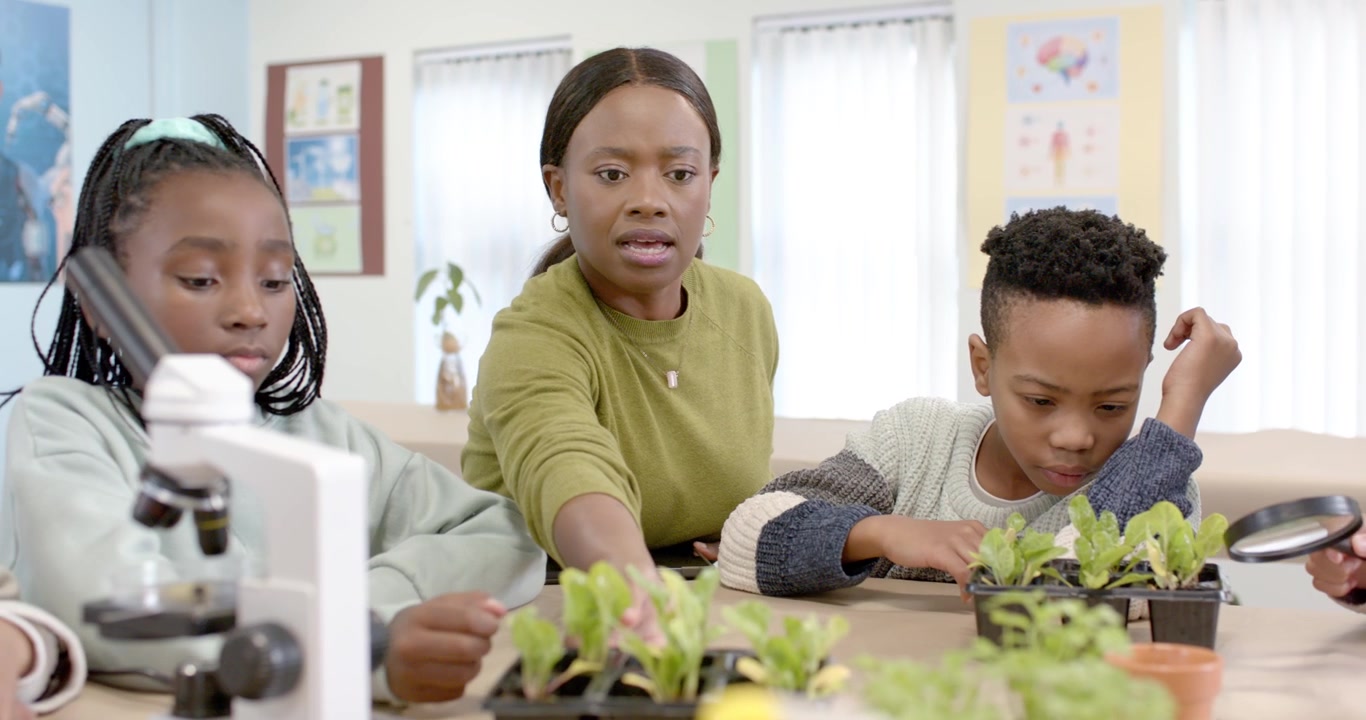 African American teacher speaking, guiding pupil touching plug tray with microscope at class table