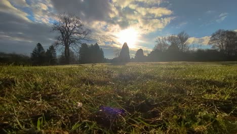 Landscape View of Park During Winter Months with Dynamic Cloudy Sky and Bright Sunlight with Bare Trees Background