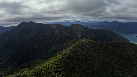 aerial shot flying over the mountains and forested hills of the marlborough sounds in new zealand