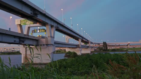 a complex and dynamic view of the multi-layered horikiri junction and its elevated expressways