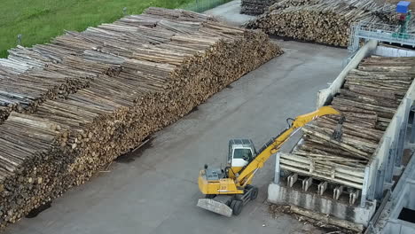 A tractor-logger in a lumber camp