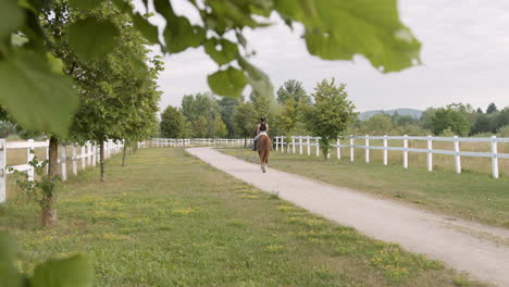 Horseback-riding-along-the-trail-between-wood-fences-and-fields,-rear-view