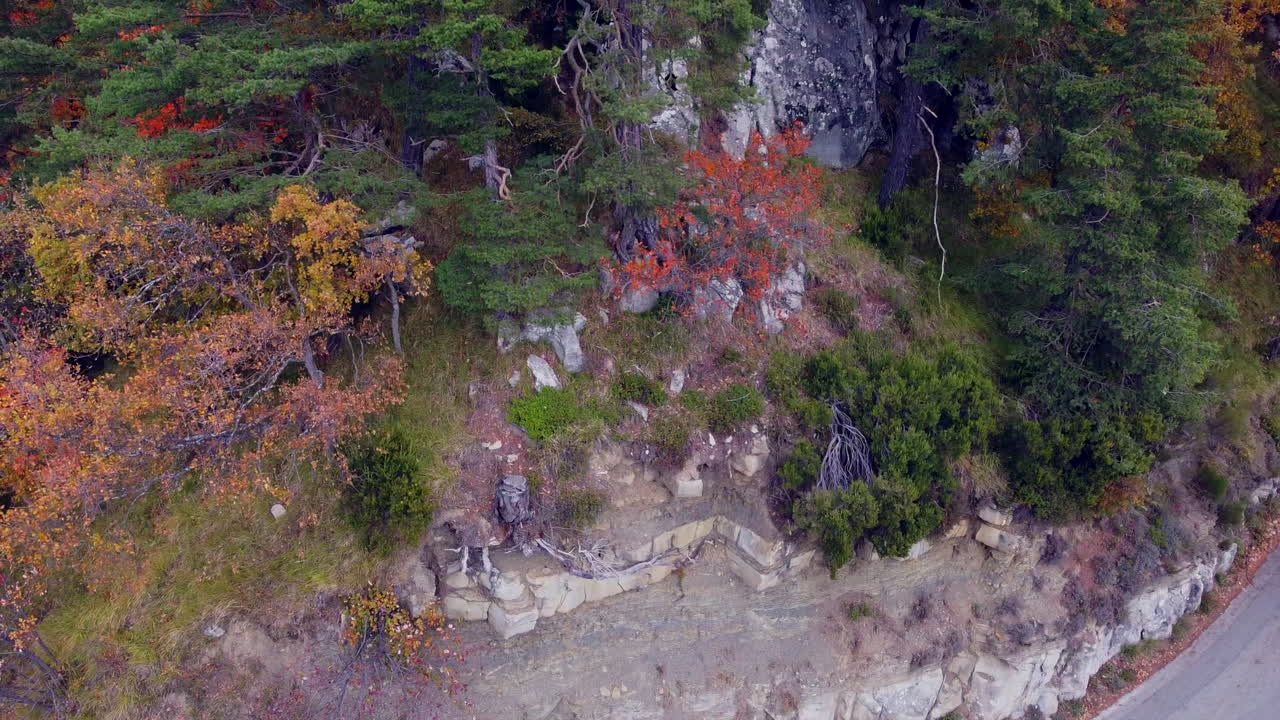 산과 다채로운 나무의 조감도
