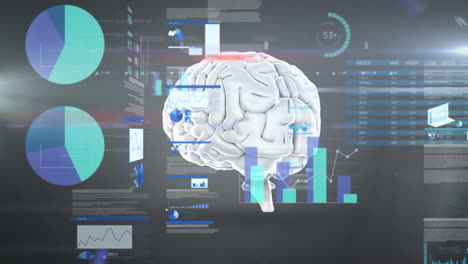animación del procesamiento de datos financieros sobre el giro del cerebro