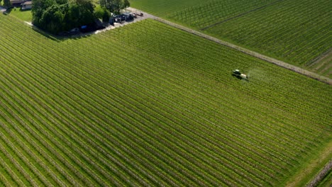 circulación aérea de tractores agrícolas rociando herbicidas y pesticidas en viñedos