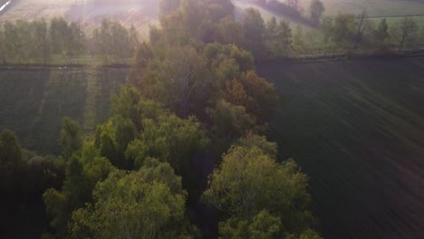 Toma-De-Paisaje-Aéreo,-Siguiendo-El-Camino-Escondido-Entre-Los-árboles-Durante-El-Amanecer.