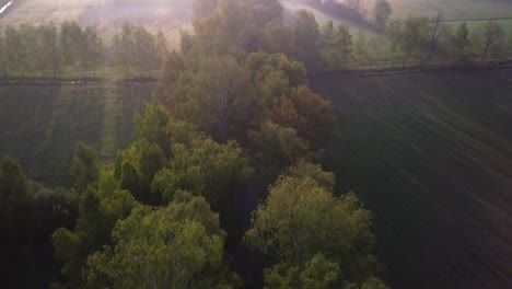 aerial landscape shot, following the road hidden in trees during sunrise