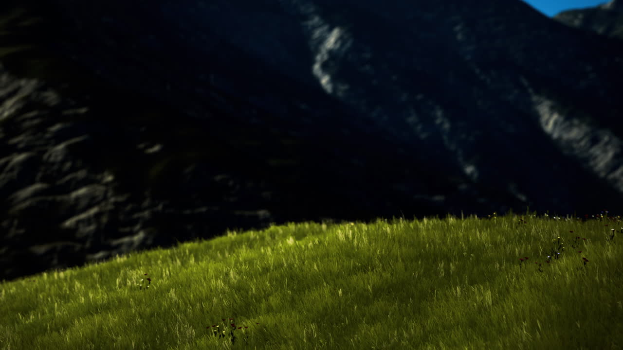 Soft green grass glows under sunlight near rugged mountain landscape