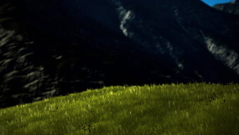 soft green grass glows under sunlight near rugged mountain landscape