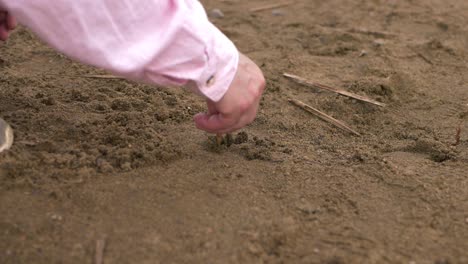 solitary person doodling in golden sand with stick close up shot