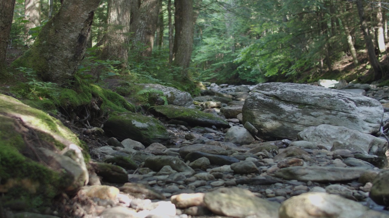 Mossy bank along mountain brook with pan right