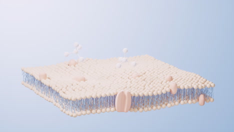 세포막 구조 배경, 3d 렌더링