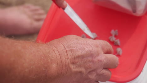 Man-Cuts-Up-Shrimp-to-be-Used-as-Bait-Fishing-on-Beach-Coastline