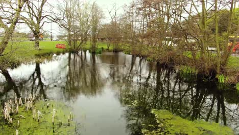 Schöne-Drohnenaufnahme-Des-Teichs-In-London