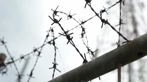 close up of a wire fence spanning an iron fence